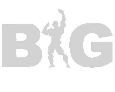 big sport seo